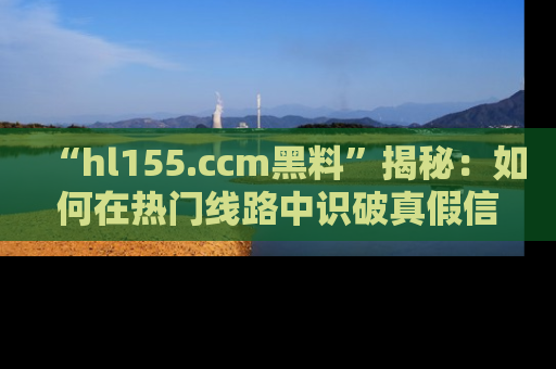 “hl155.ccm黑料”揭秘:如何在热门线路中识破真假信息