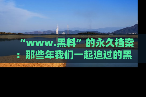 “www.黑料”的永久档案:那些年我们一起追过的黑料真相