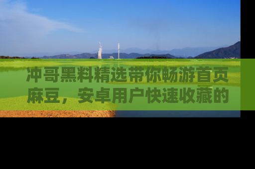 冲哥黑料精选带你畅游首页麻豆，安卓用户快速收藏的秘密武器！