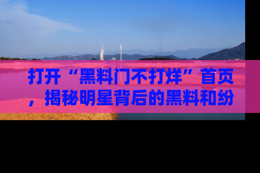打开“黑料门不打烊”首页，揭秘明星背后的黑料和纷争真相！