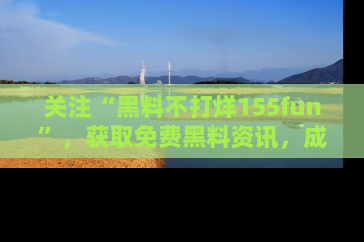 关注“黑料不打烊155fun”，获取免费黑料资讯，成为吃瓜达人不再难！