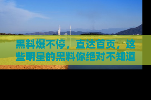 黑料爆不停，直达首页，这些明星的黑料你绝对不知道！