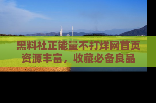 黑料社正能量不打烊网首页资源丰富，收藏必备良品