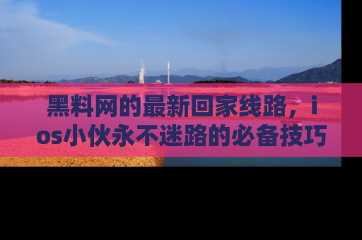 黑料网的最新回家线路，ios小伙永不迷路的必备技巧！