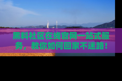 黑料社区在线官网一站式服务，教你如何回家不迷路！