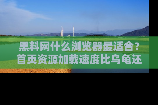 黑料网什么浏览器最适合？首页资源加载速度比乌龟还慢的体验真心吐槽！