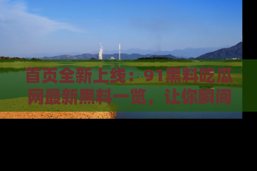 首页全新上线:91黑料吃瓜网最新黑料一览,让你瞬间掌握