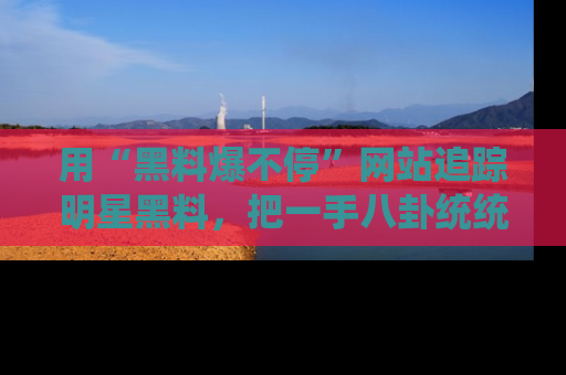 用“黑料爆不停”网站追踪明星黑料,把一手八卦统统收进你的后宫中!
