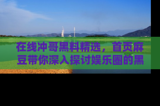 在线冲哥黑料精选，首页麻豆带你深入探讨娱乐圈的黑暗面