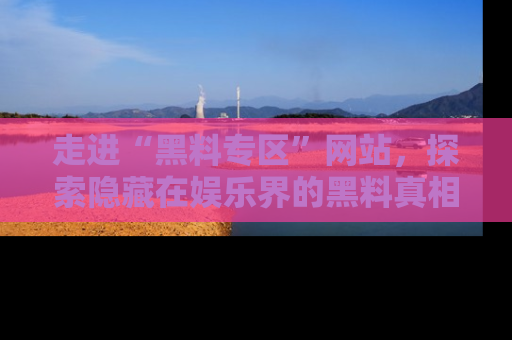 走进“黑料专区”网站,探索隐藏在娱乐界的黑料真相